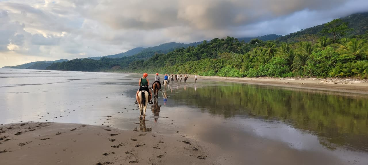 promo-horseback-riding-sunset